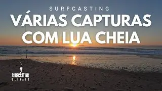 Mista de peixe com Lua cheia