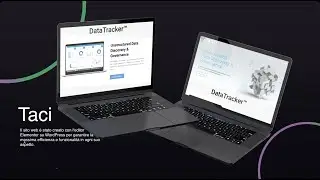Sito Web- Classificatori di dati per aziende e professionisti