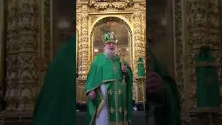 4.06. 2023 г.  Троицкий Собор Подольск. протоиерей Александр Ганаба Домостроительство Божие. ТРОИЦА