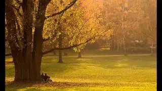 Autumn's beauty