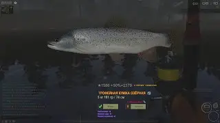 Fisher Online : Финляндия. Кумжа озерная.