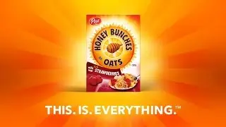 Honey Bunches of Oats - This Is Everything - Strawberry 15s