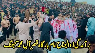 Baramdagi Zuljinah 10 Muharrum | Imam Bargah Qasar E Al E Muhammad Jhang | Azadari Jhang