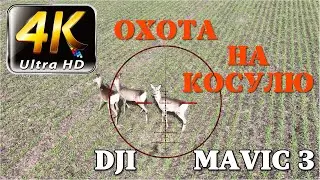 Охота на косулю с дроном. Замедленная съемка. Часть #3