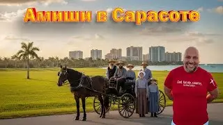 Амиши в Сарасоте, жизнь и бизнес. 1/26