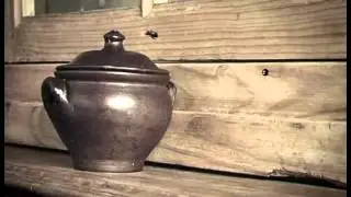 Насекомые  Паук черный  Паутинки