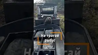 Смешно и мило! Медведь не стал объедать рыболовов! Как это получилось?
