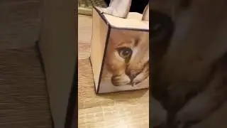 квадратный шлёпа 