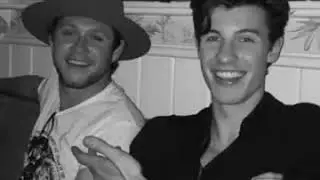Niall hang out with Jamie Dornan and Shawn Mendes