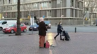 Вечерняя Трансляция. Что Нового.