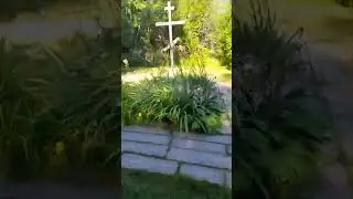 Видео отзыв наших гостей. @otmaa Спасибо за адекватность