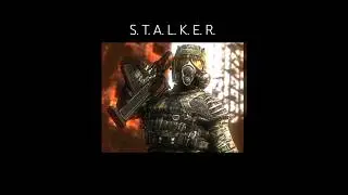 ⚡☢️#1 | Stalker оценит | S. T. A. L. K. E. R  | Короткий клип | 