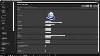 Migrate Settings Ue4