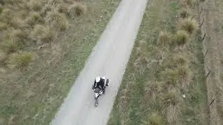Shag Valley Back Road