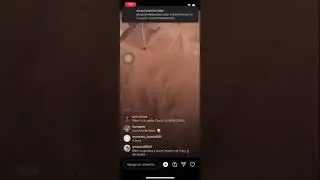 Yailin La Mas Viral Y Su Perro De 11 Mil Dolares Que Le Regalo Anuel Aa👌