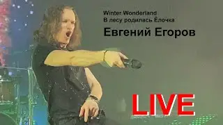 Евгений Егоров - Winter Wonderland (Bing Crosby), В лесу родилась Ёлочка.