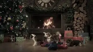 Самое милое видео