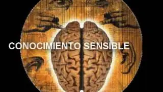 EPISTEMOLOGIA
