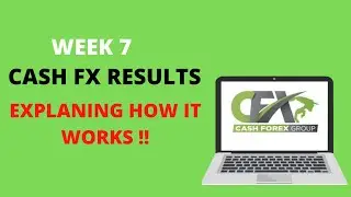 CashFX Results - Week 7 Progress ( EXPLANING HOW IT WORKS)