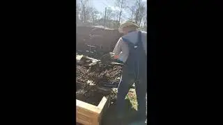 Raised bed gardening preparation.