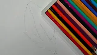 flower bud very easy drawing|colour- Dom's colour pencil.