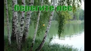 My film БЕРЁЗЫ