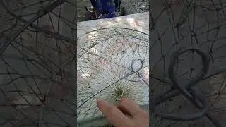 раколовка чернильница