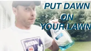 DAWN ON YOUR LAWN
