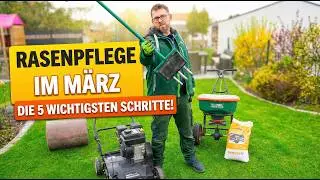 Rasenpflege im März: 4 Schritte zum schönen Rasen