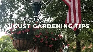 August Gardening Tips