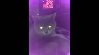 уважно смотрим