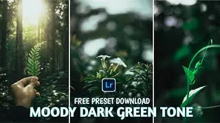 Moody Green Tone Editing | lightroom moody green dark preset | #preset_download #greentone 🔥