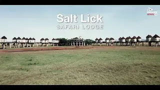 Saltlick Safari Lodge | The BEST VIEW IN KENYA