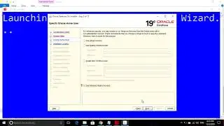 Oracle 19c and SQL developer installation on Windows