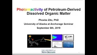 Professional Development Seminar: Photoreactivity of Petrogenic Dissolved Organic Matter