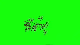 GUN GREEN SCREEN EFFECT PRIMERE   PRESENTED BY GREEN SCREEN EFFECT