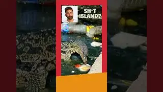 🌊 COUNTRY-SIZE island of TRASH in the ocean!