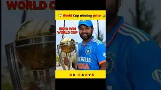 world cup(ICC)winning price 🤑🤯#iccworldcup2024 #indiacricket #viralvideo #brfacts