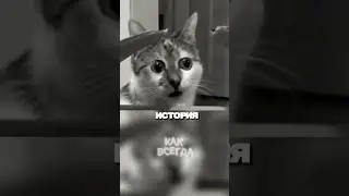 LET'S TAKE A LOOK #3