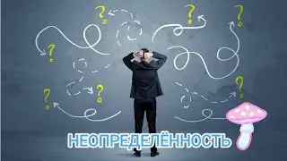 НЕОПРЕДЕЛЁННОСТЬ. Бег в слепую. Ньюанс.