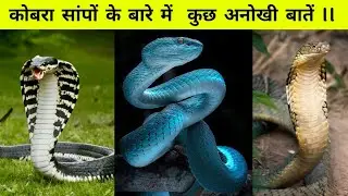 सांपों के बारे में कुछ अनोखी बातें ll 😱 Some unique things about snakes ll #facts #shorts #animals