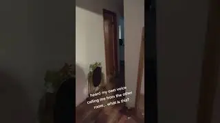 Andy Winehouse Heard His Own Voice Calling Out To Him! (Terrifying) #scary #ghost #tiktok #shorts
