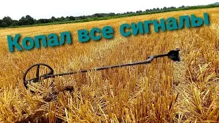 Коп монет на убраном поле. Коп в германии.