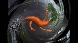 Kuradi Pa Pa Pa Parim Suvi (ProjectRene REMIX)