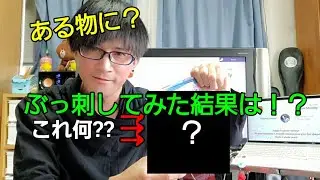 家庭にある物で実験した結果は如何に！？