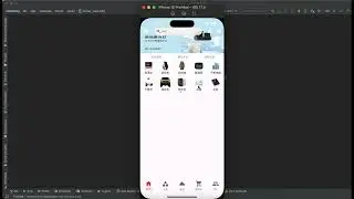 4、flutter clone mi store the swiper category view