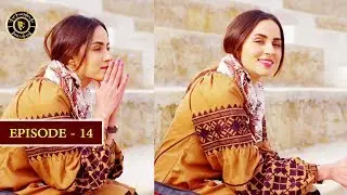 Bhool Episode 14 | Affan Waheed | Saheefa Jabbar | Top Pakistani Drama