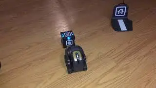 Meet Vector Robot