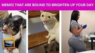 A Serving of Funny Memes to Brighten Your Day
