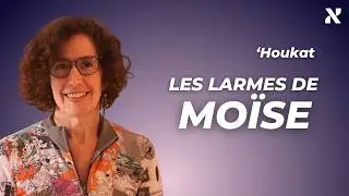 'Houkat : les larmes de Moïse­ par Yaël Gronner